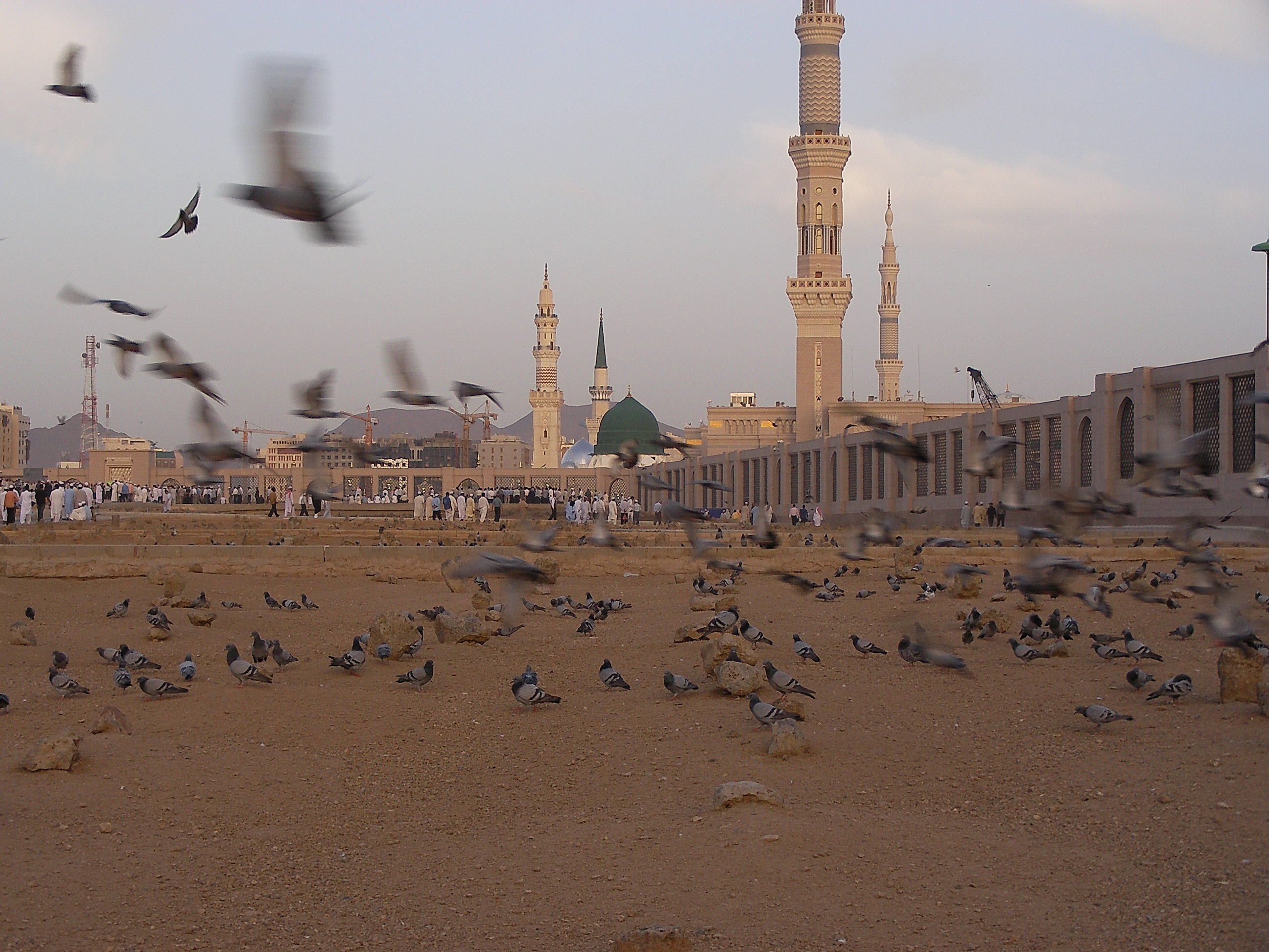 البقيعُ.. ومقابرُ أُخرى