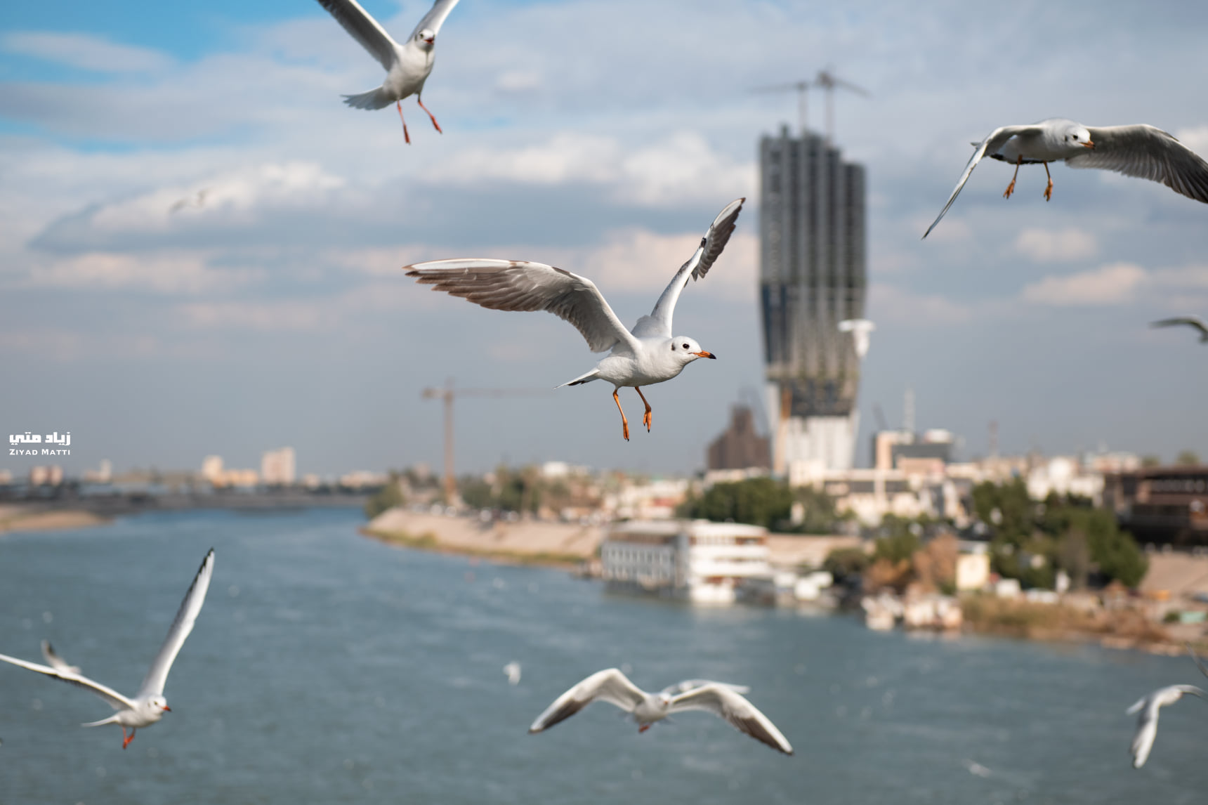 إجراءات حكومية جديدة لتقليل الضائعات المائية