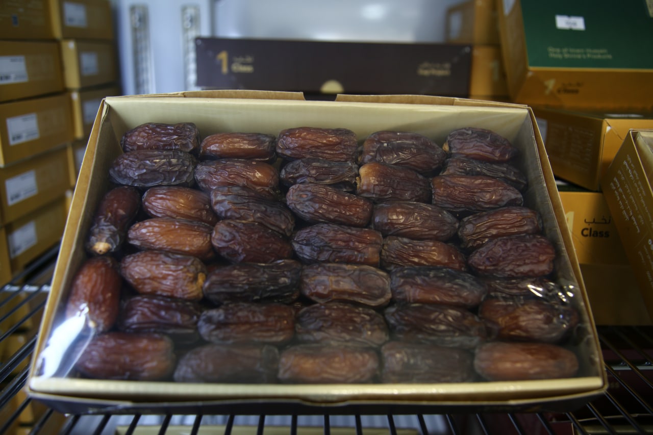 العراق يحتل المركز الرابع على العالم في إنتاج التمور