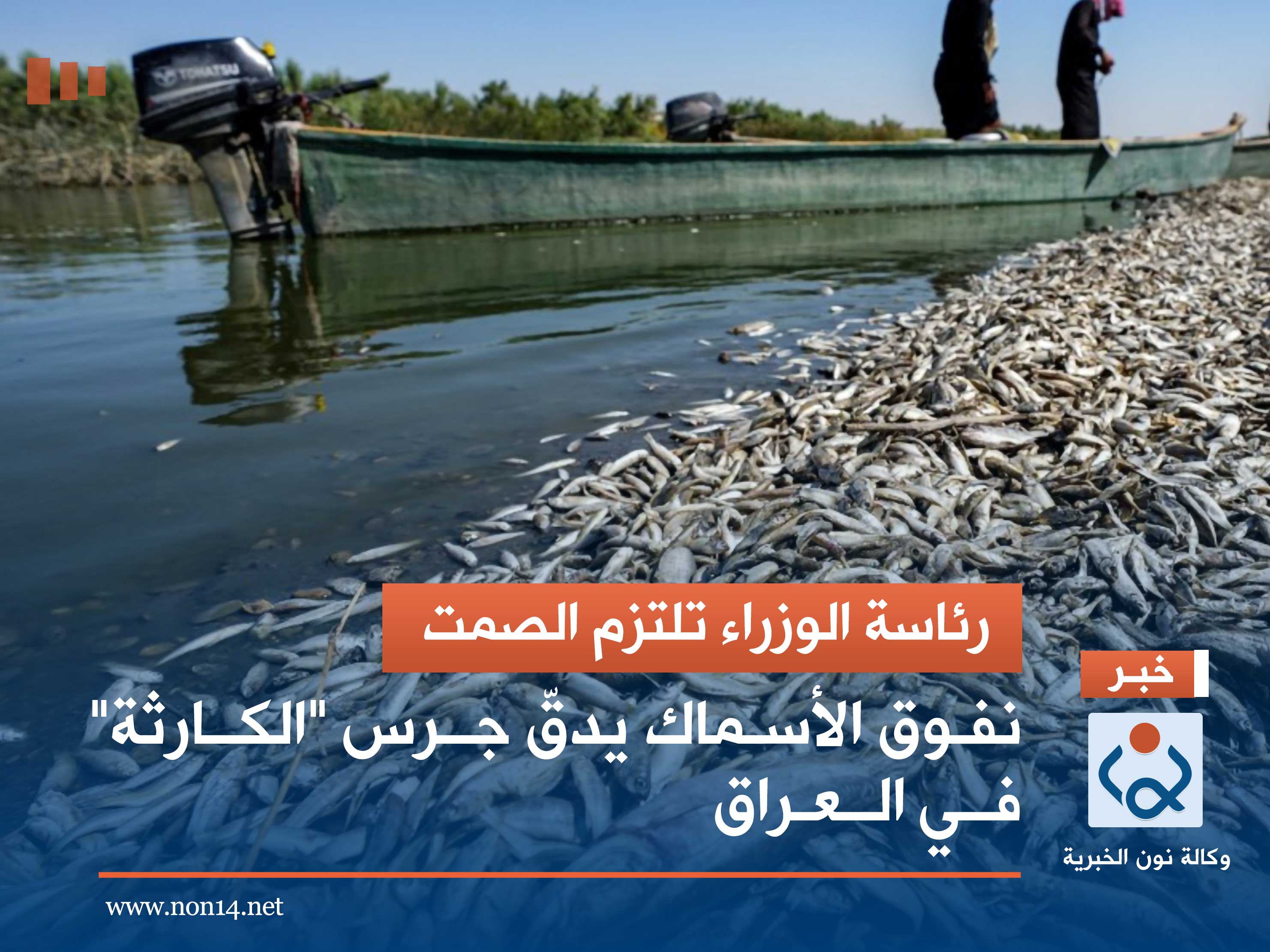 رئاسة الوزراء تلتزم الصمت.. نفوق الأسماك يدقّ جرس "الكارثة" في العراق