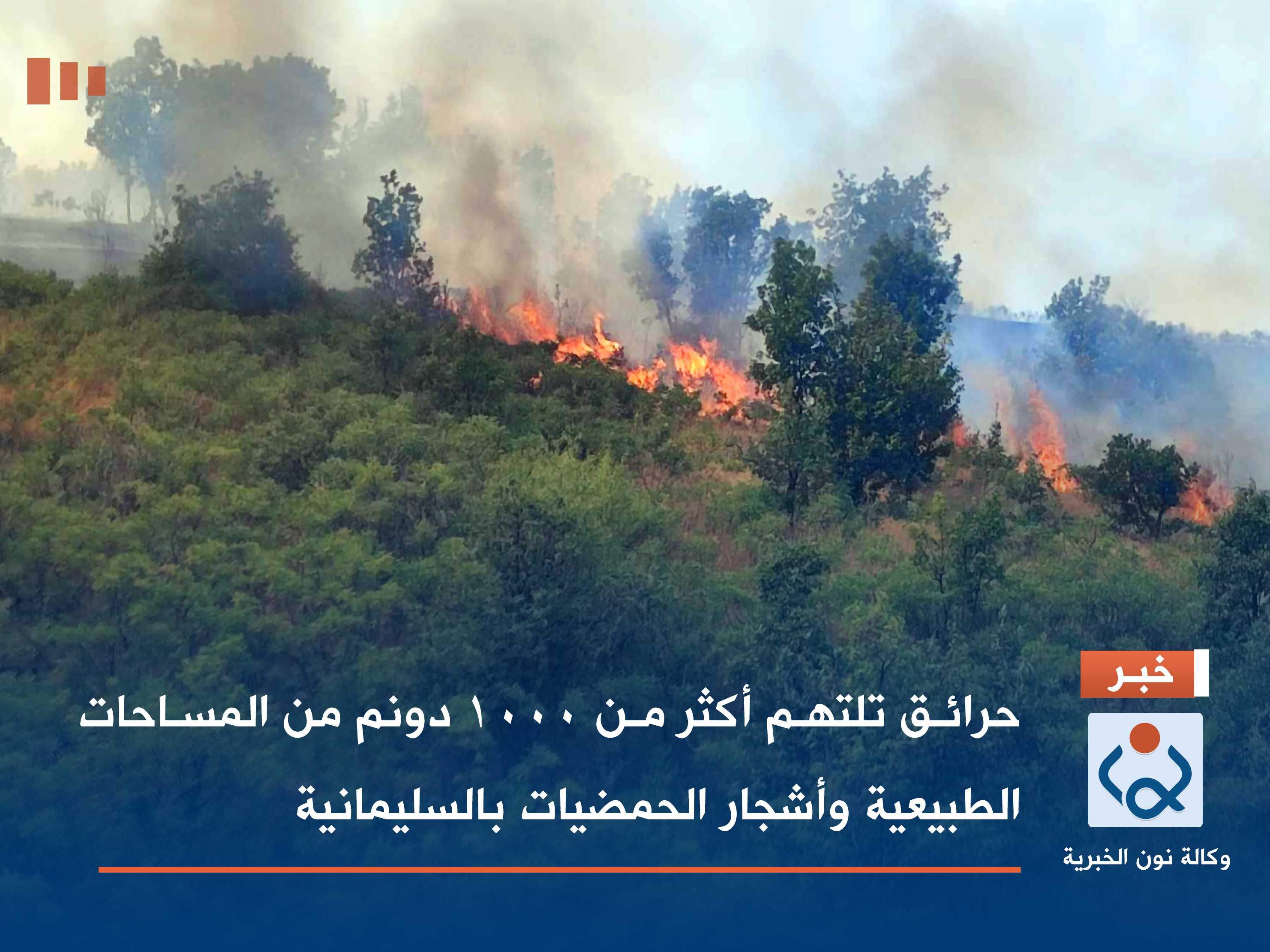 حرائق تلتهم أكثر من 1000 دونم من المساحات الطبيعية وأشجار الحمضيات بالسليمانية (صور)