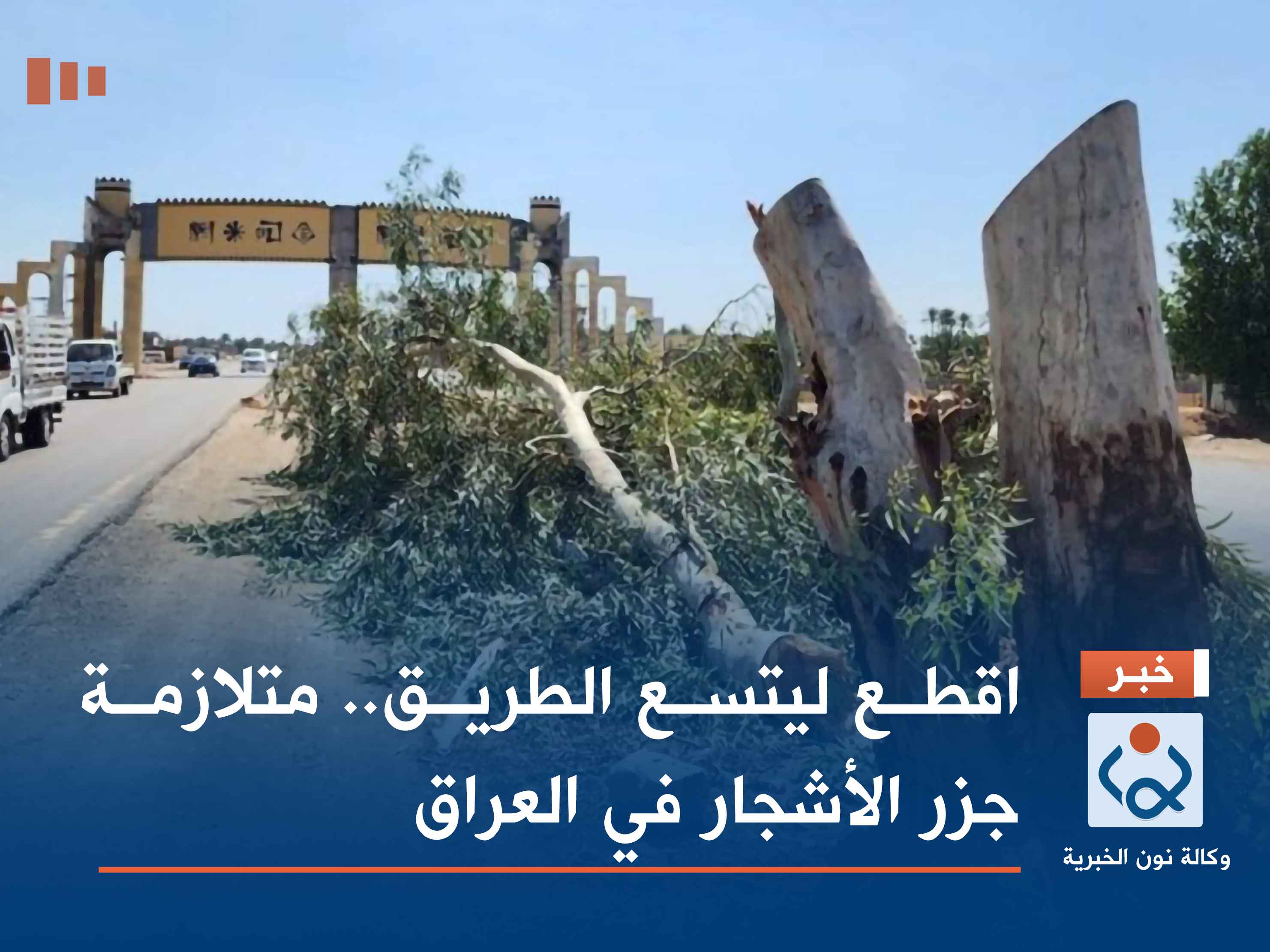 اقطع ليتسع الطريق.. متلازمة جزر الأشجار في العراق
