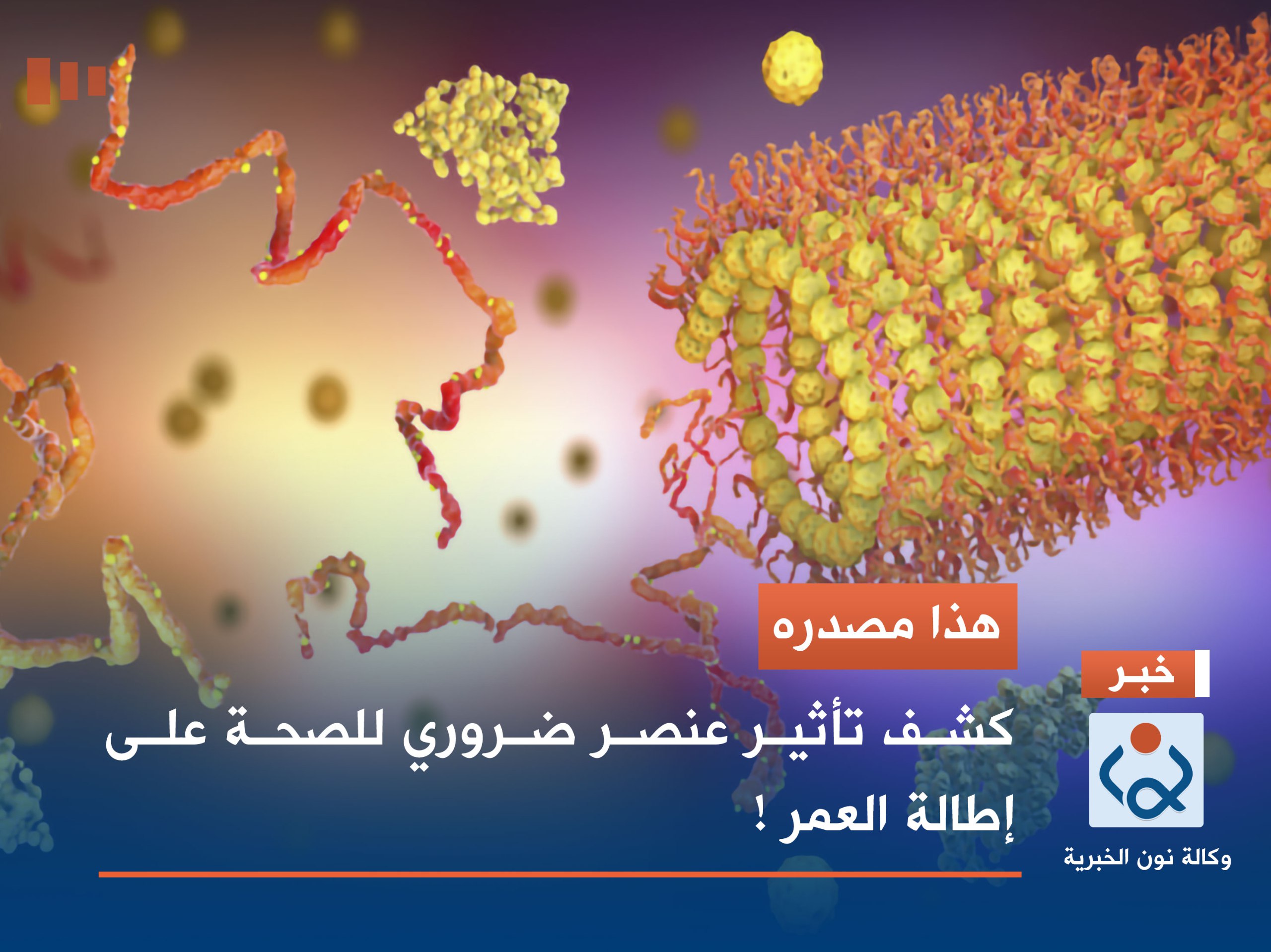 هذا مصدره.. كشف تأثير عنصر ضروري للصحة على إطالة العمر !