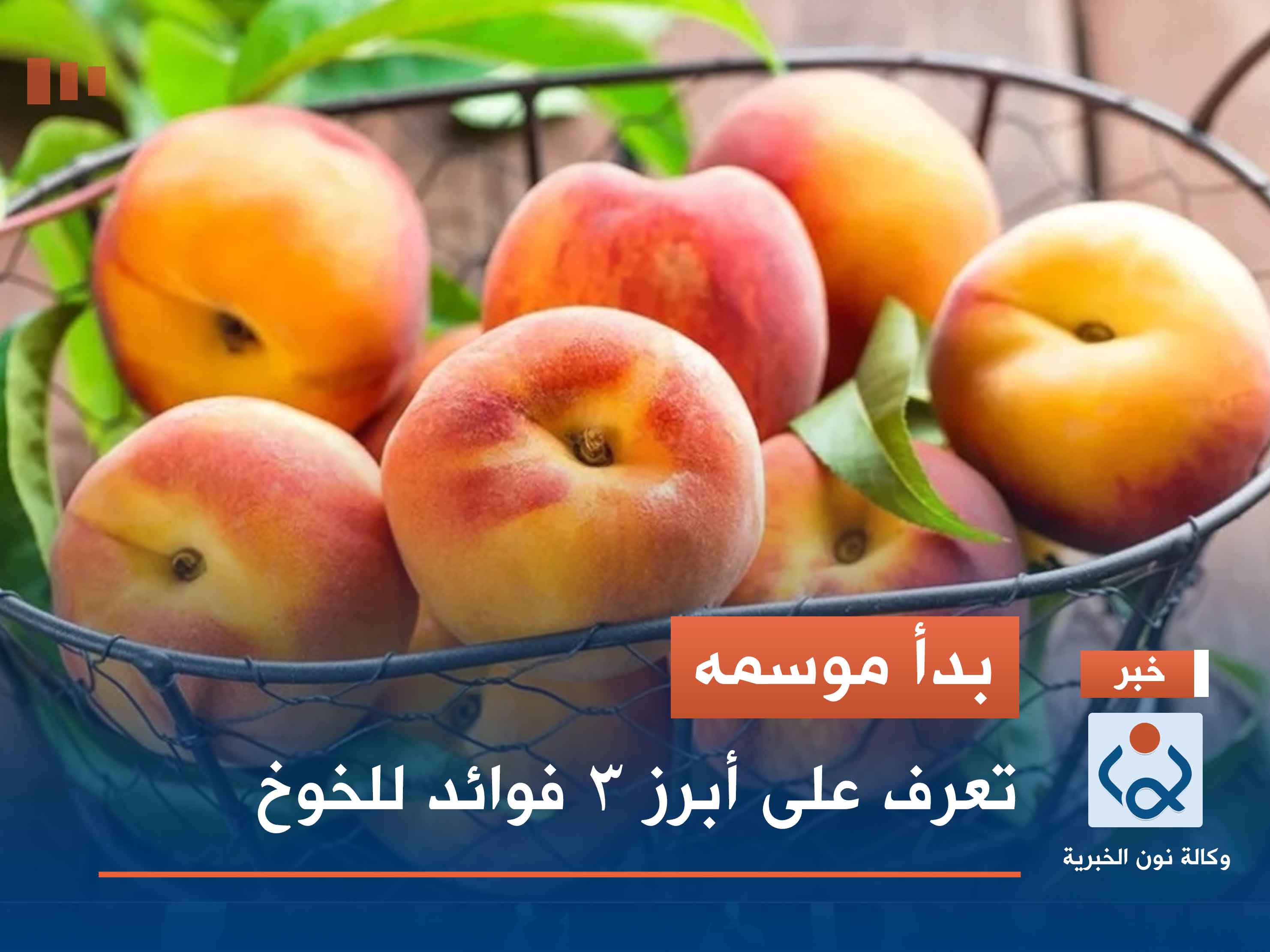 بدأ موسمه..  تعرف على أبرز 3 فوائد للخوخ