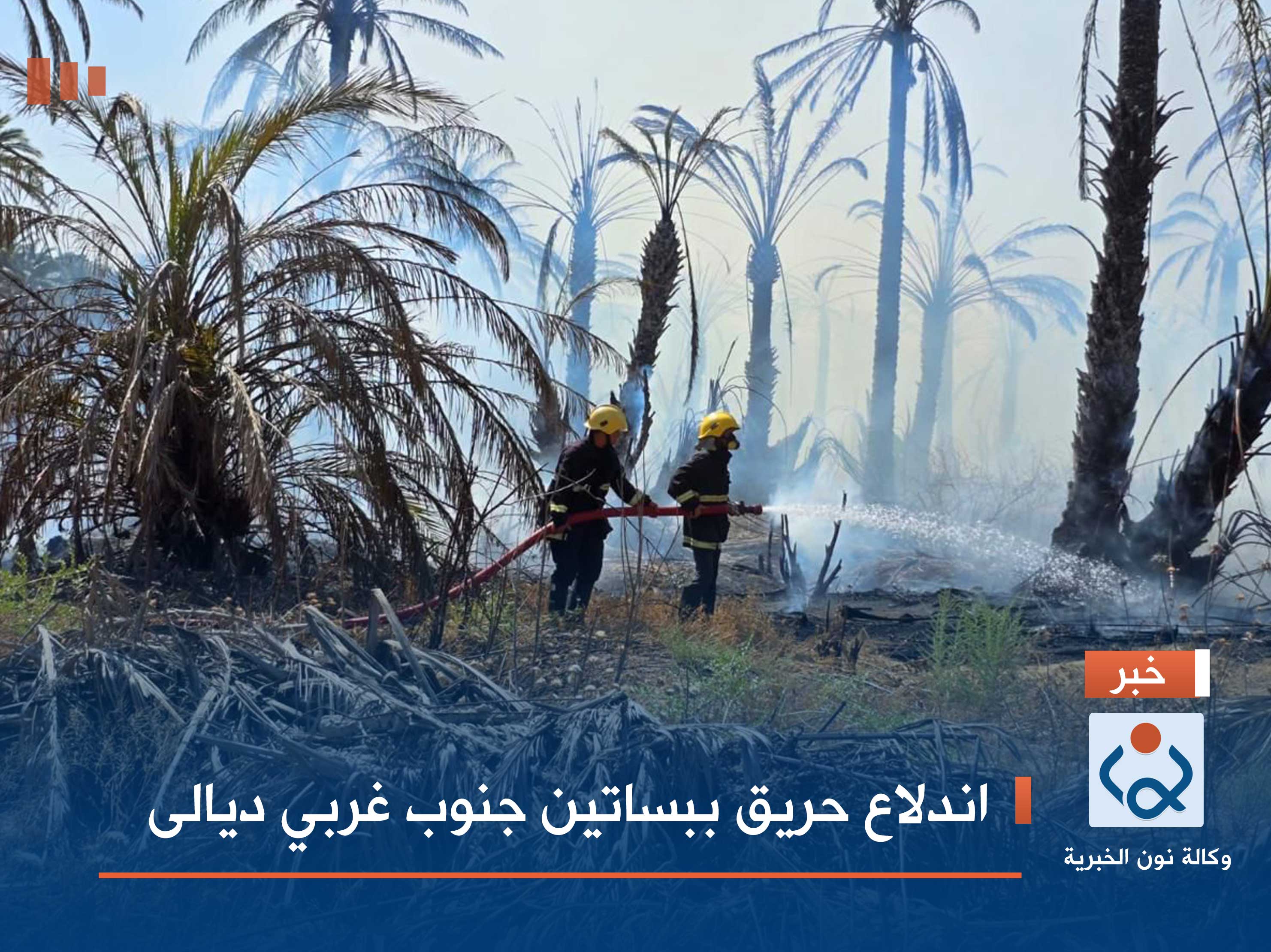 اندلاع حريق ببساتين جنوب غربي ديالى