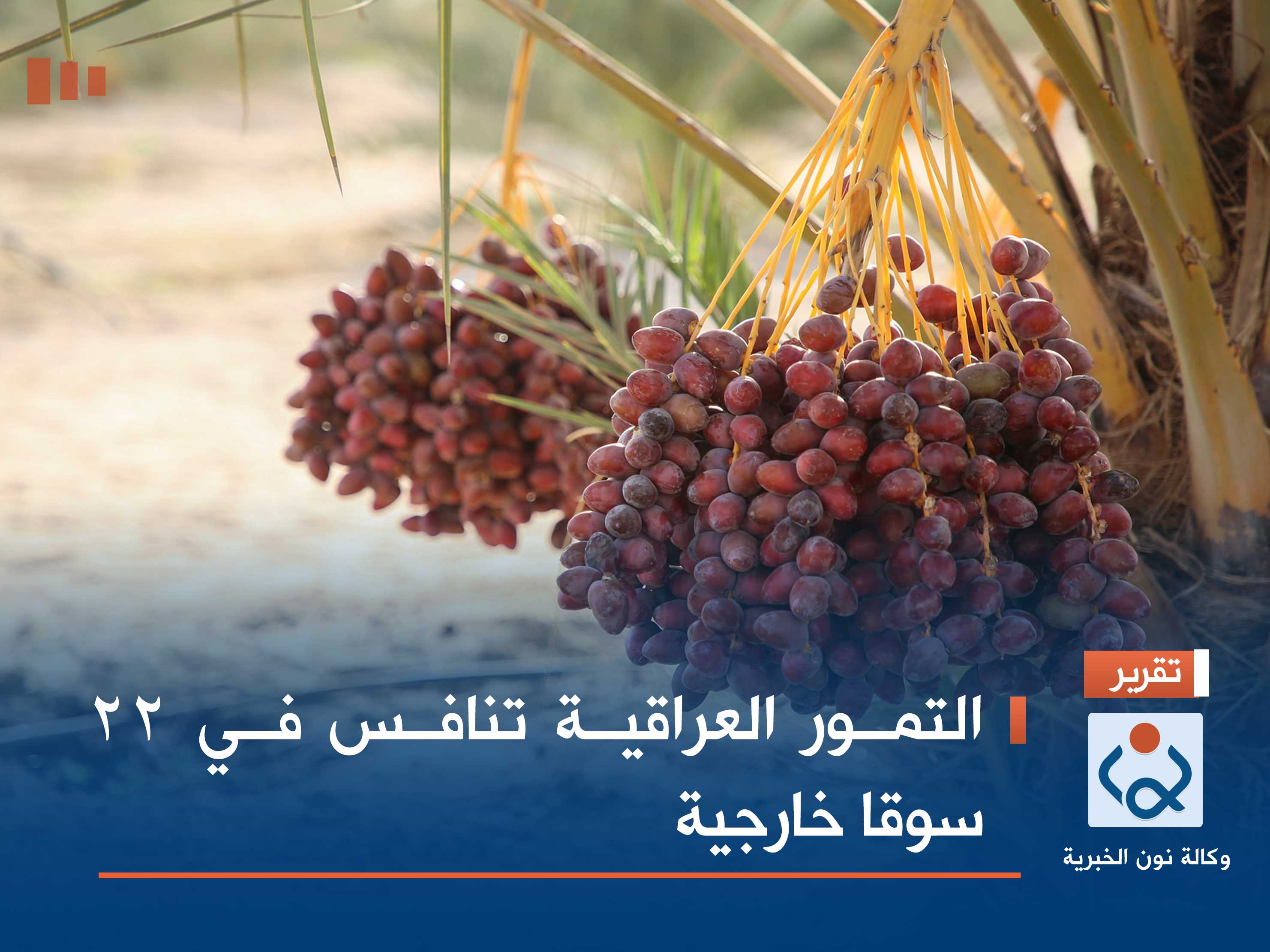 التمور العراقية تنافس في 22 سوقا خارجية
