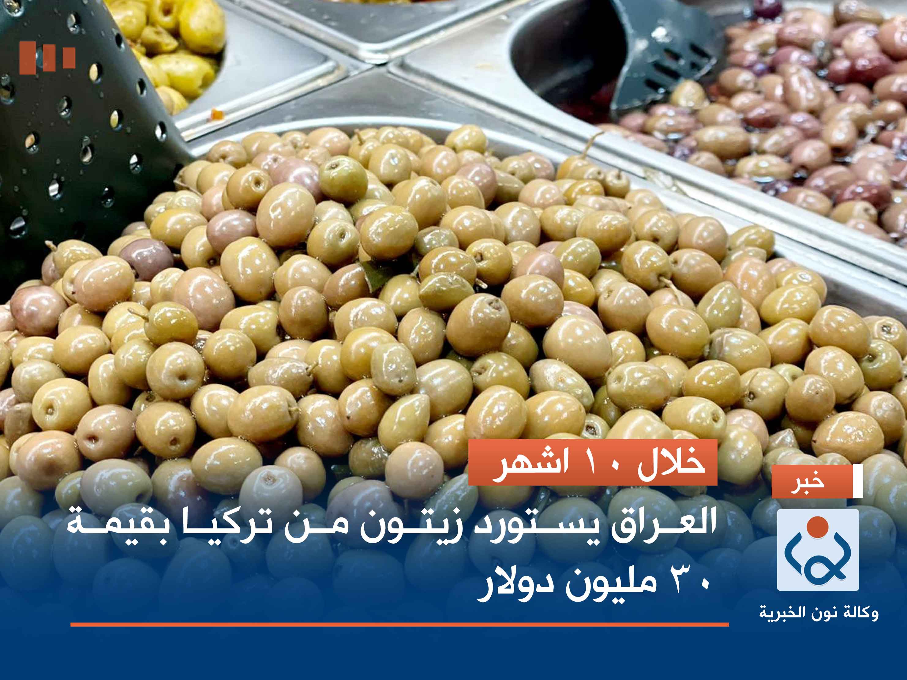 خلال 10 اشهر.. العراق يستورد زيتون من تركيا بقيمة 30 مليون دولار
