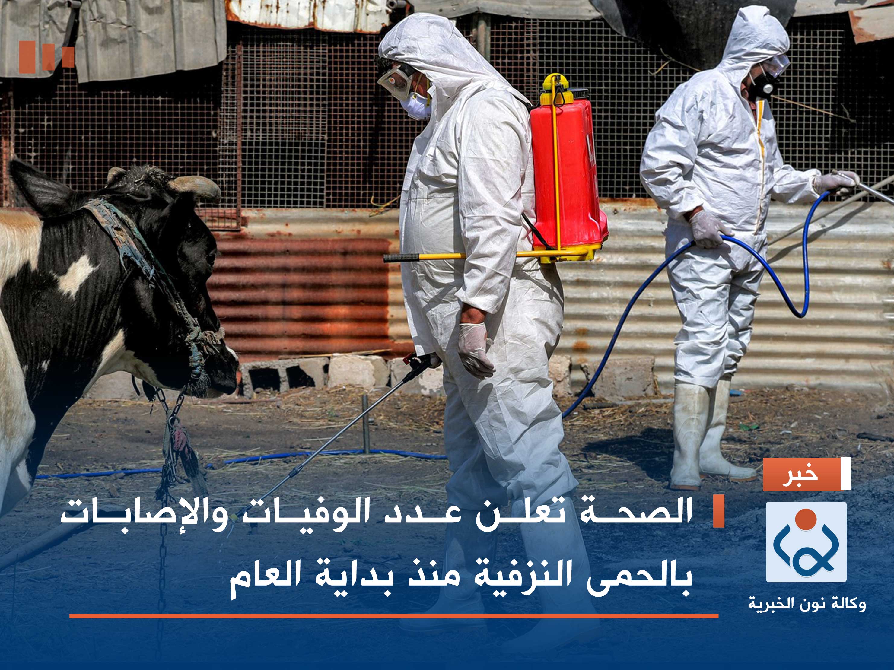 الصحة تعلن عدد الوفيات والإصابات بالحمى النزفية منذ بداية العام