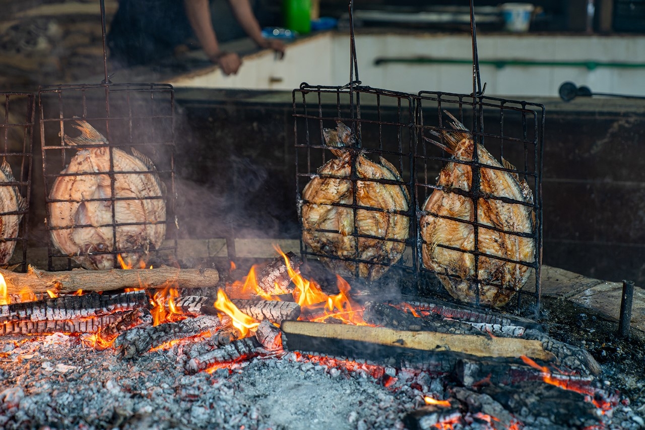الديوانية ترفد الأسواق المحلية بما يقارب 13 طناً من الأسماك