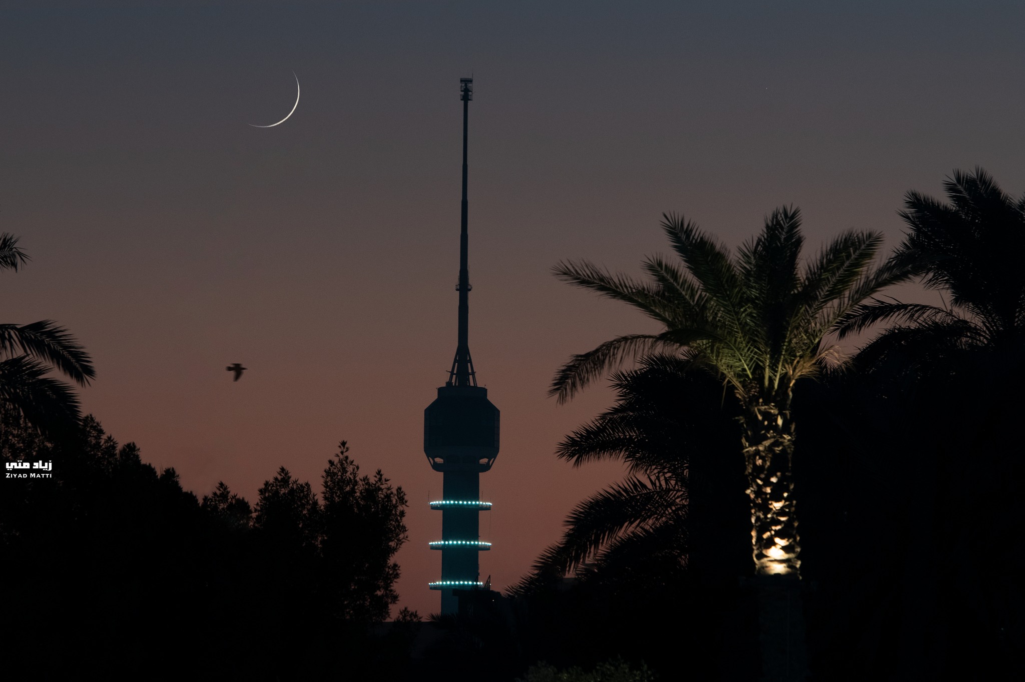 أَسْحارٌ رَمَضانِيَّةٌ - السَّنةُ الثَّانيَةُ عشَرَة - الجزء الثامن