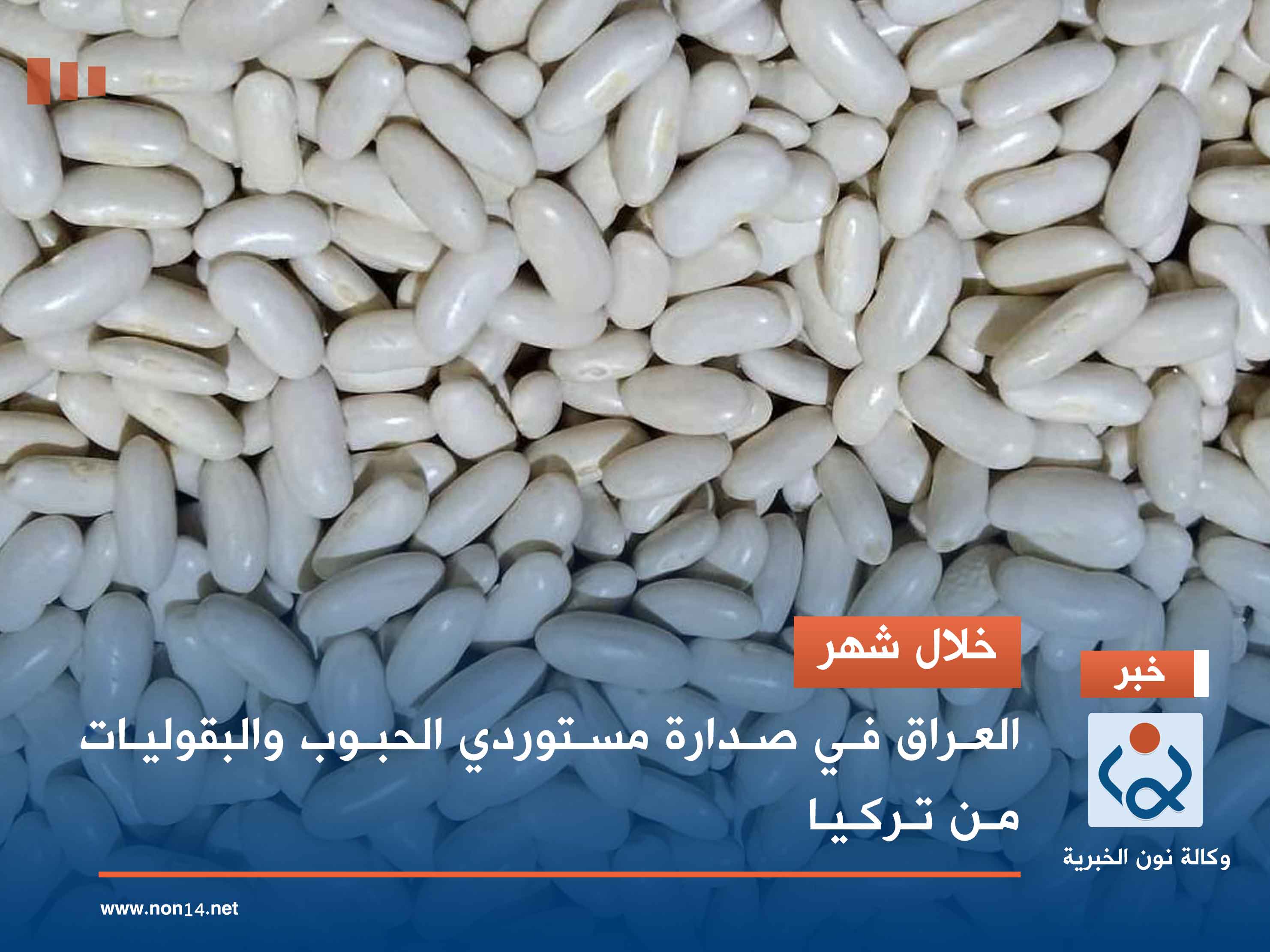 خلال شهر.. العراق في صدارة مستوردي الحبوب والبقوليات من تركيا