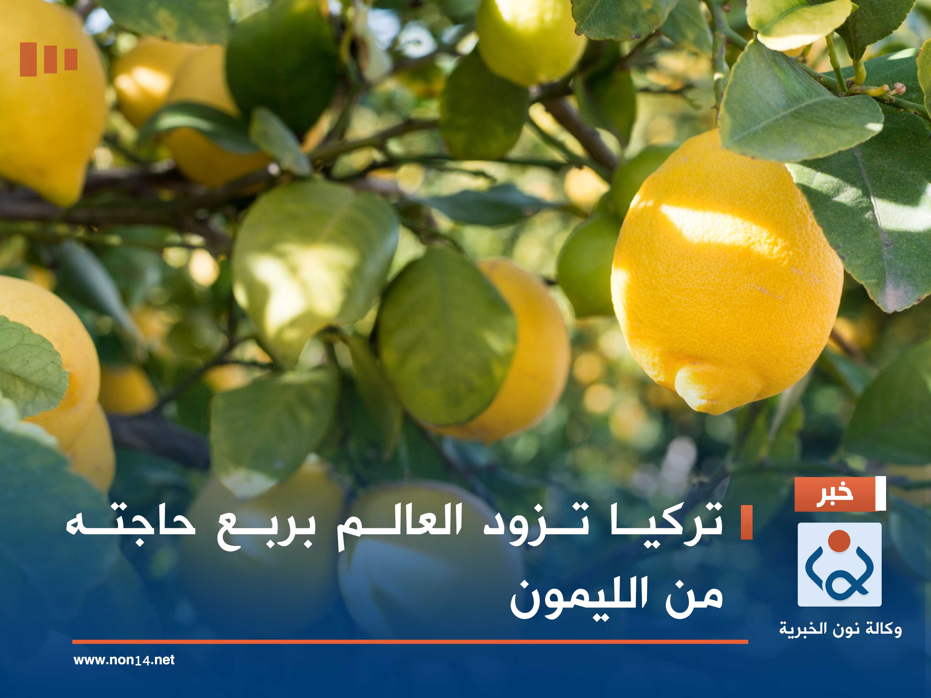 تركيا تزود العالم بربع حاجته من الليمون