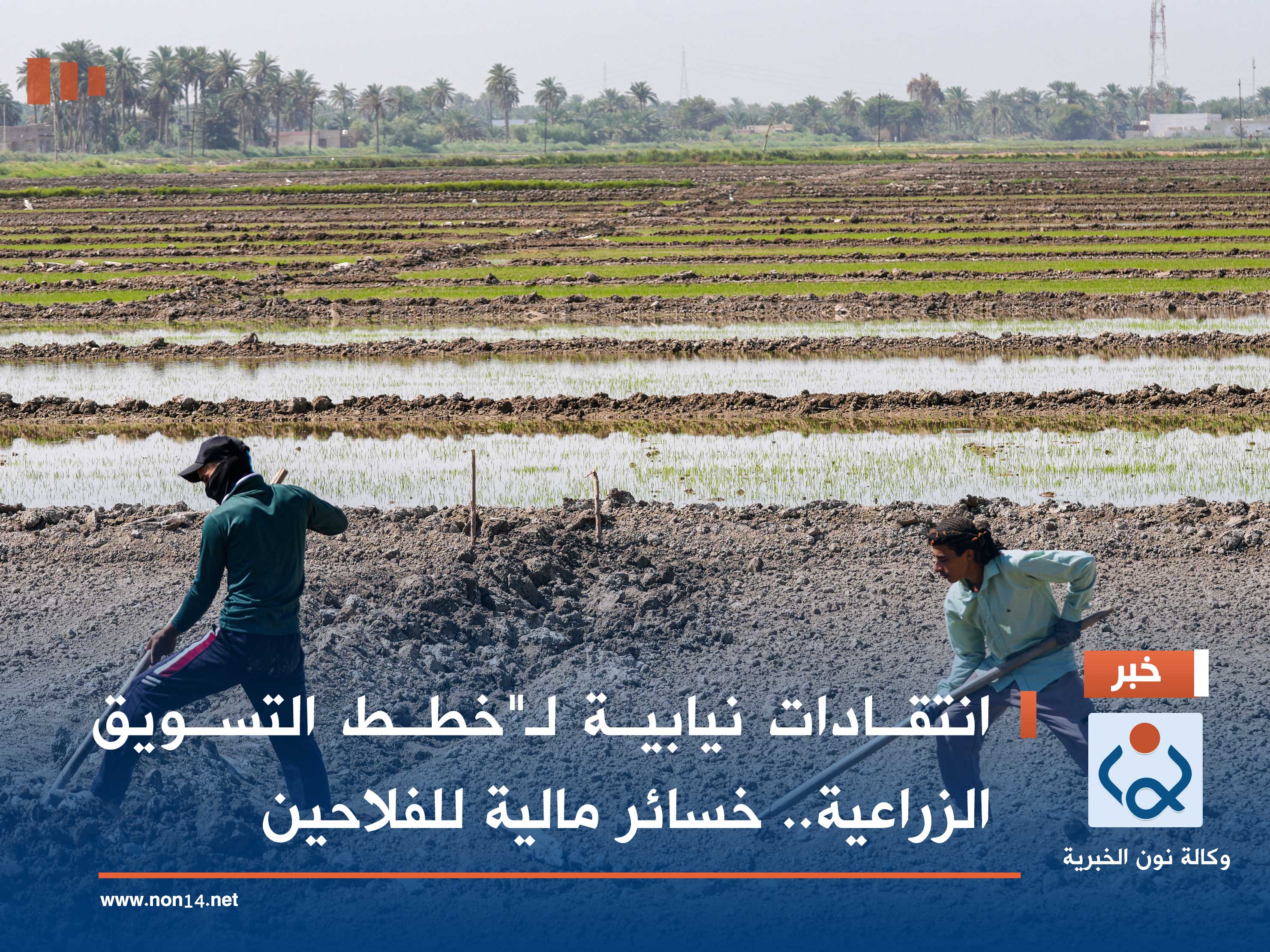 انتقادات نيابية لـ"خطط التسويق الزراعية.. خسائر مالية للفلاحين