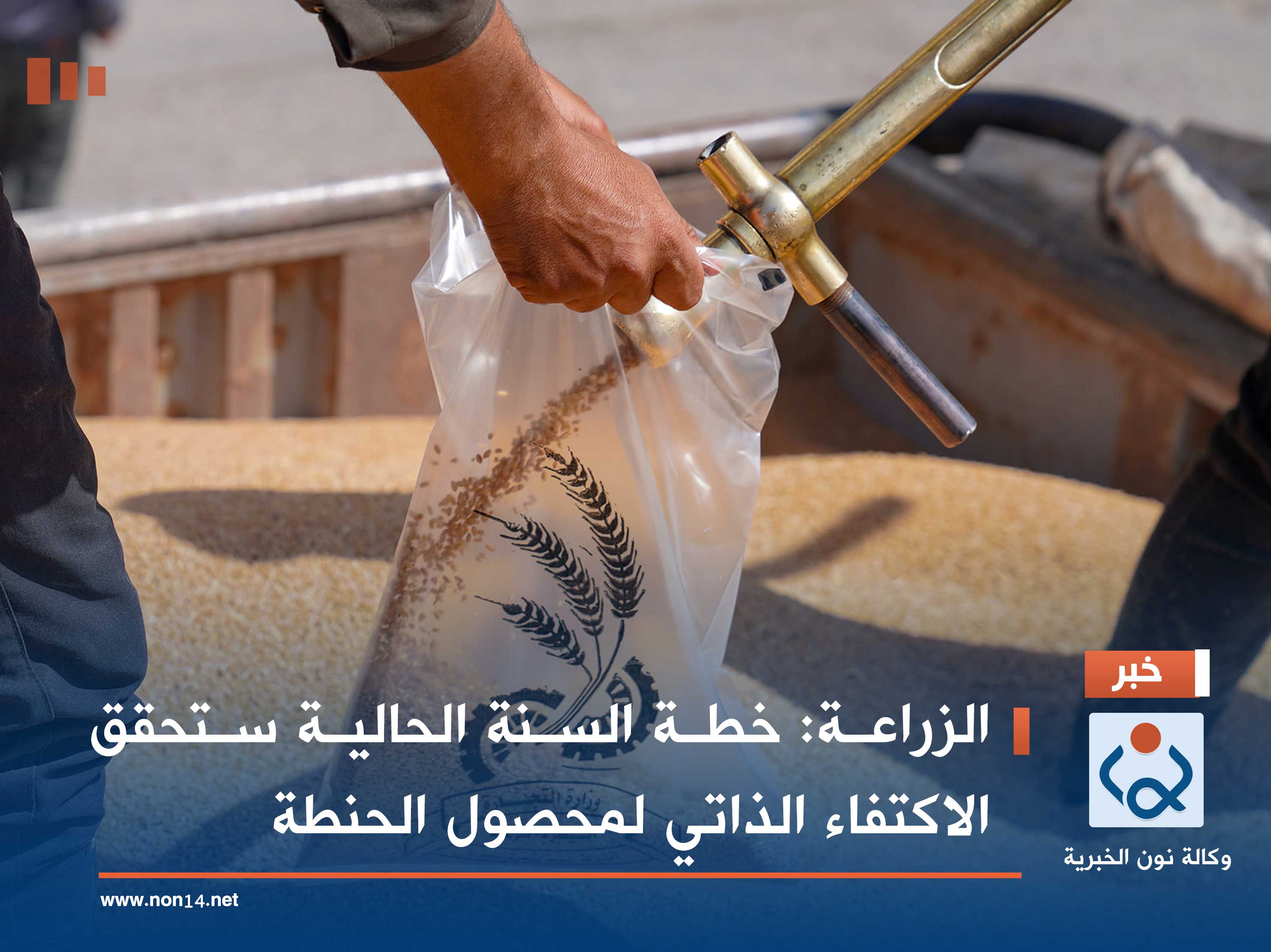 الزراعة: خطة السنة الحالية ستحقق الاكتفاء الذاتي لمحصول الحنطة