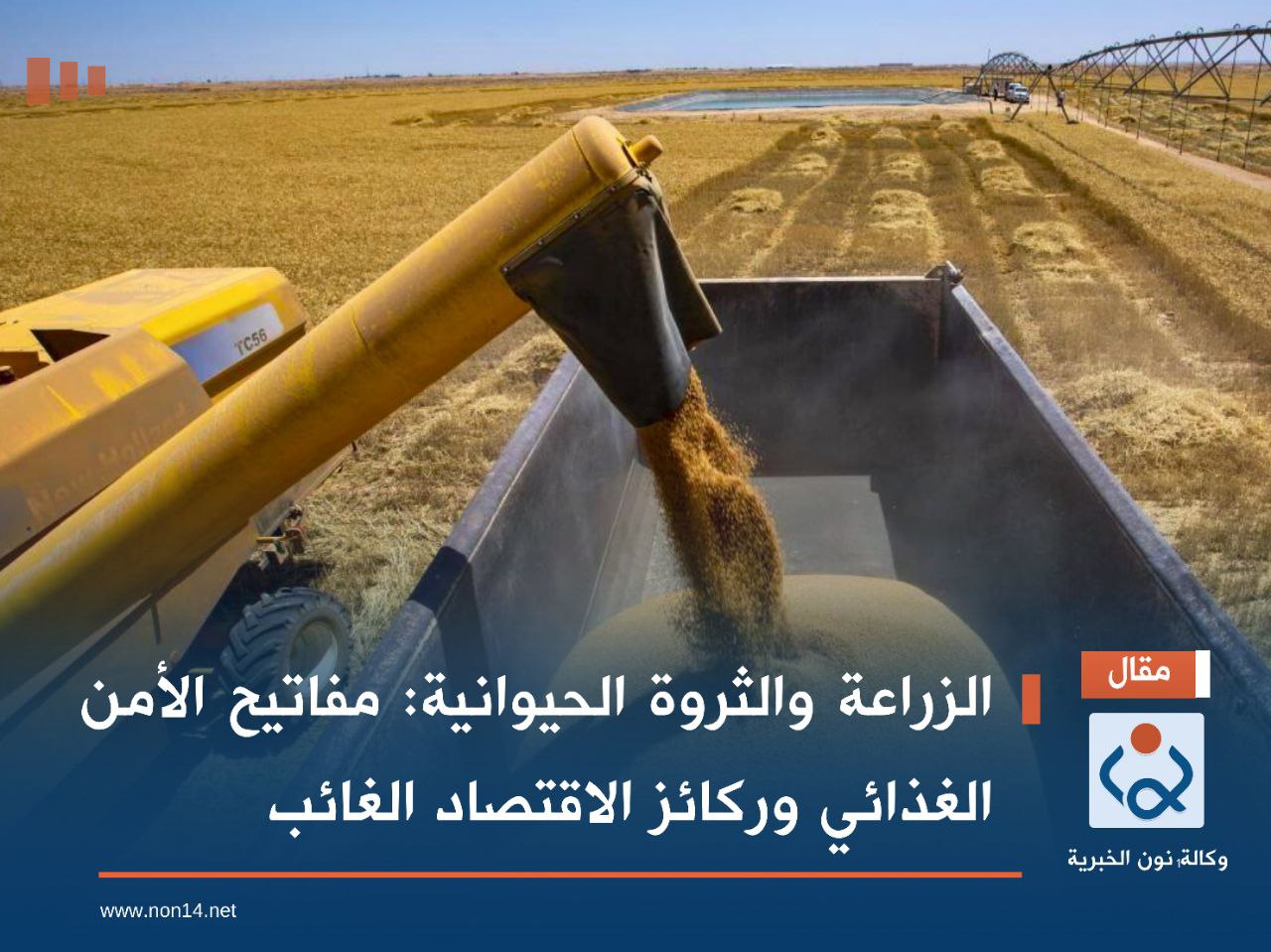 الزراعة والثروة الحيوانية: مفاتيح الأمن الغذائي وركائز الاقتصاد الغائب