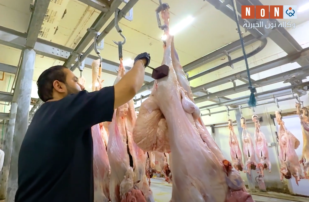 بالأرقام.. المستشفى البيطري في كربلاء تكشف عن استهلاك المحافظة من اللحوم الحمراء يومياً (فيديو)