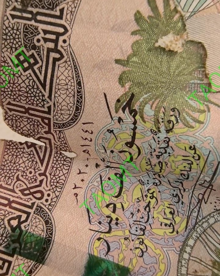 فأر الحكومة وسفسطة المثقف !