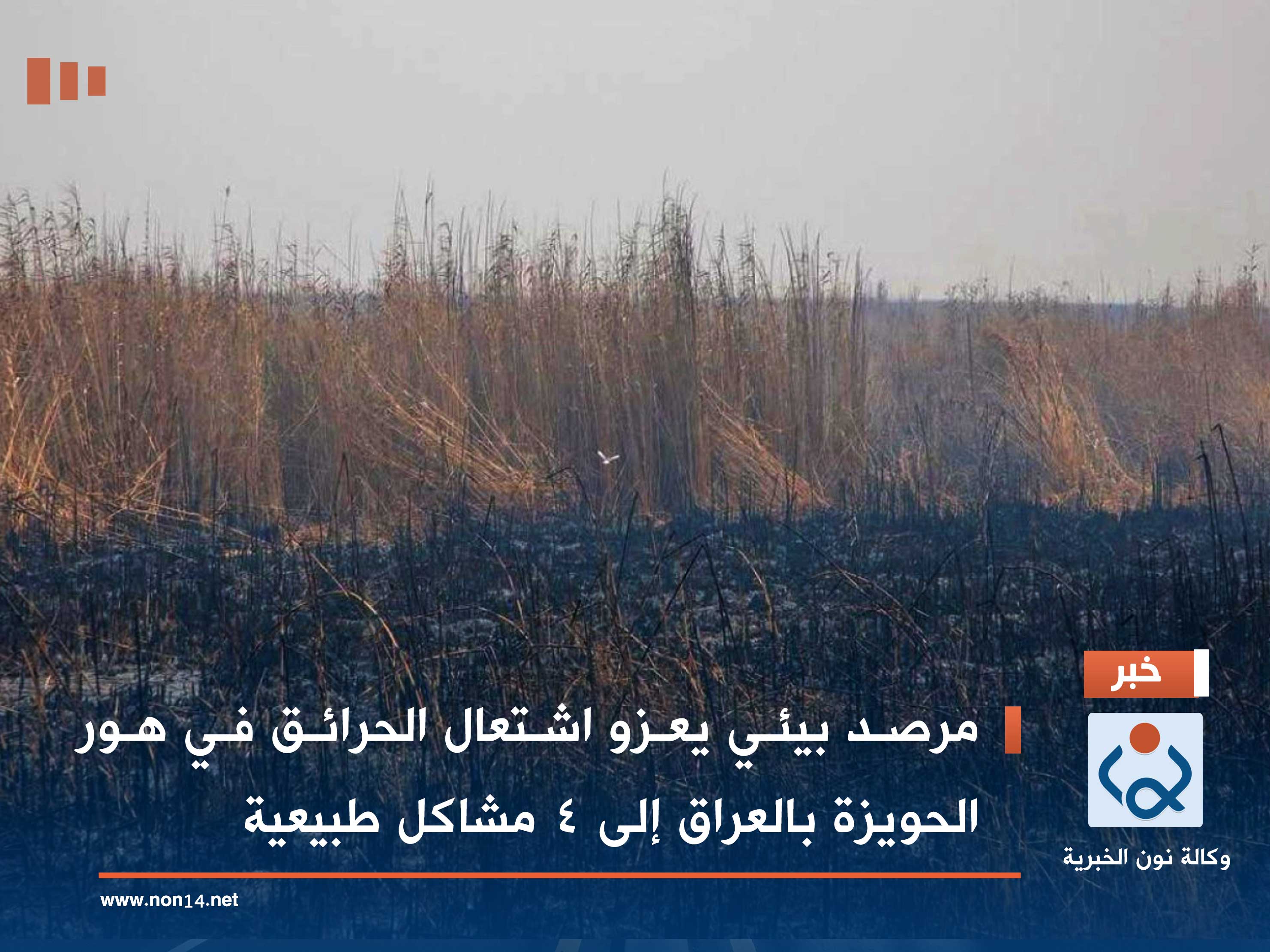 مرصد بيئي يعزو اشتعال الحرائق في هور الحويزة بالعراق إلى 4 مشاكل طبيعية