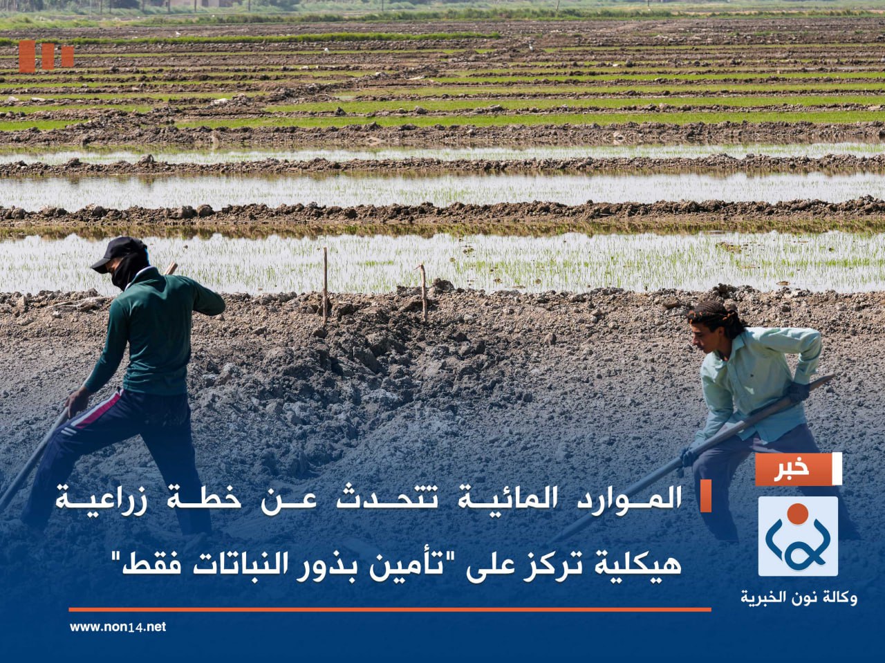 الموارد المائية تتحدث عن خطة زراعية هيكلية تركز على "تأمين بذور النباتات فقط"