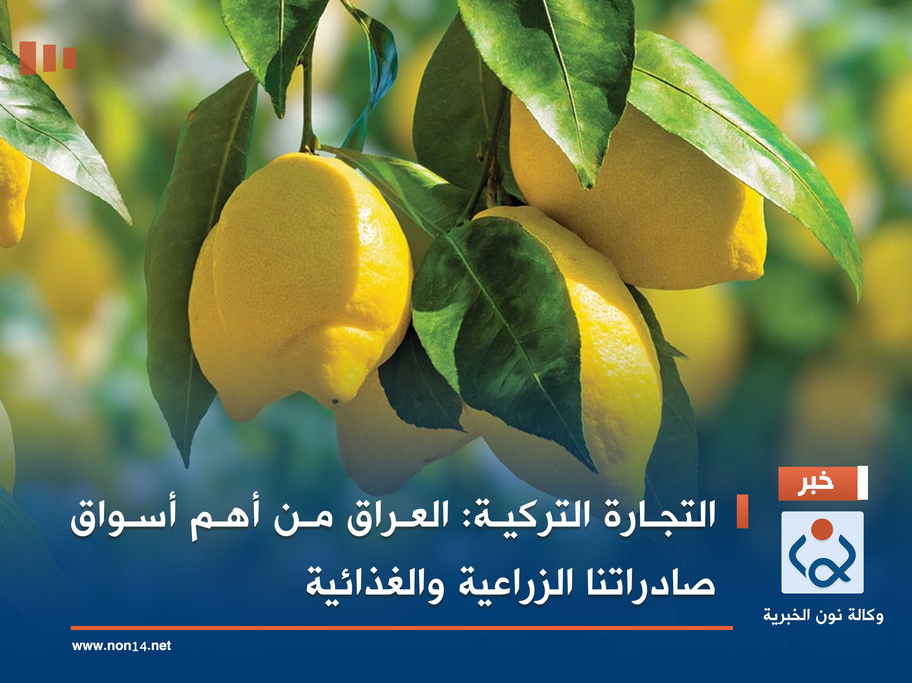 التجارة التركية: العراق من أهم أسواق صادراتنا الزراعية والغذائية