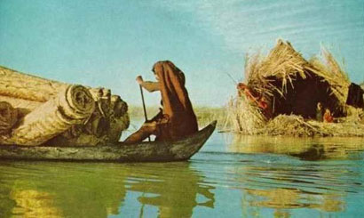 سوق الشيوخ واقع ثقافي وابداع متوارث (تحقيق)