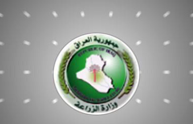 حظر لاستيراد الخضروات اعتبارا من نيسان المقبل