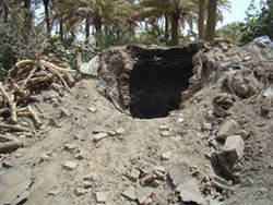 معامل الفحم في منطقة الحسينية بكربلاء، أضرار بيئية وصحية تنتظر حلولاً بديلة(تقرير مصور)