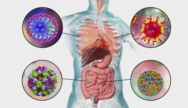 ما الفرق بين كورونا ونزلات البرد.. وما هي طرق الوقاية؟
