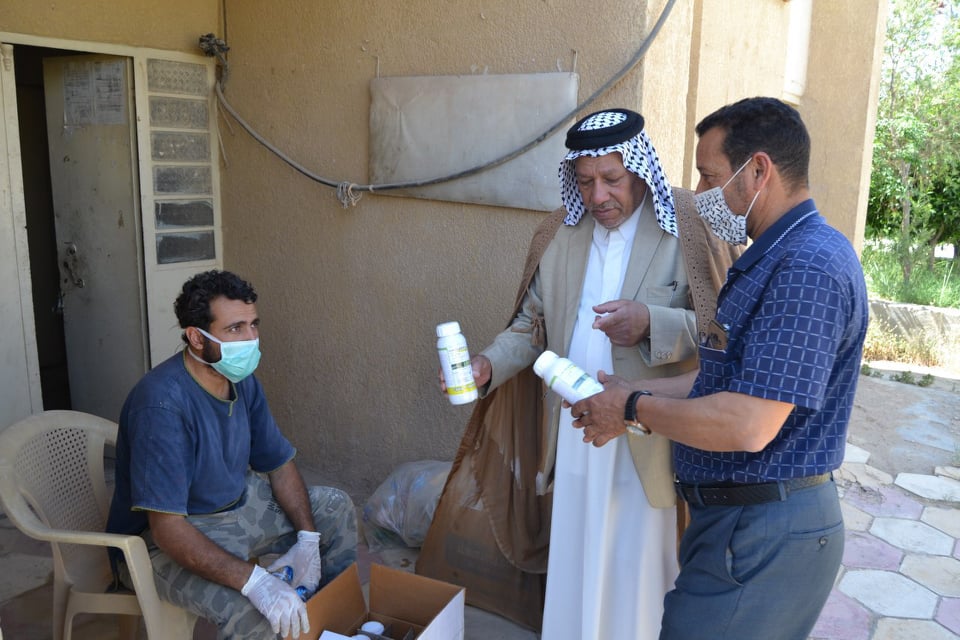 الجمعيات الفلاحية في كربلاء تدعو الفلاحين والمزارعين لاستلام المبيدات الخاصة بمكافحة حشرة الدوباس على النخيل