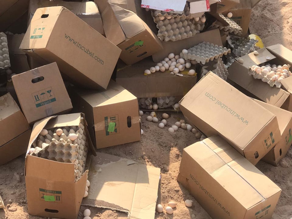 بالصور:كربلاء تضبط وتتلف أكثر من ( 11 ) طن من مادة بيض التفقيس مُوردة من دولة موبوءة بأنفلونزا الطيور