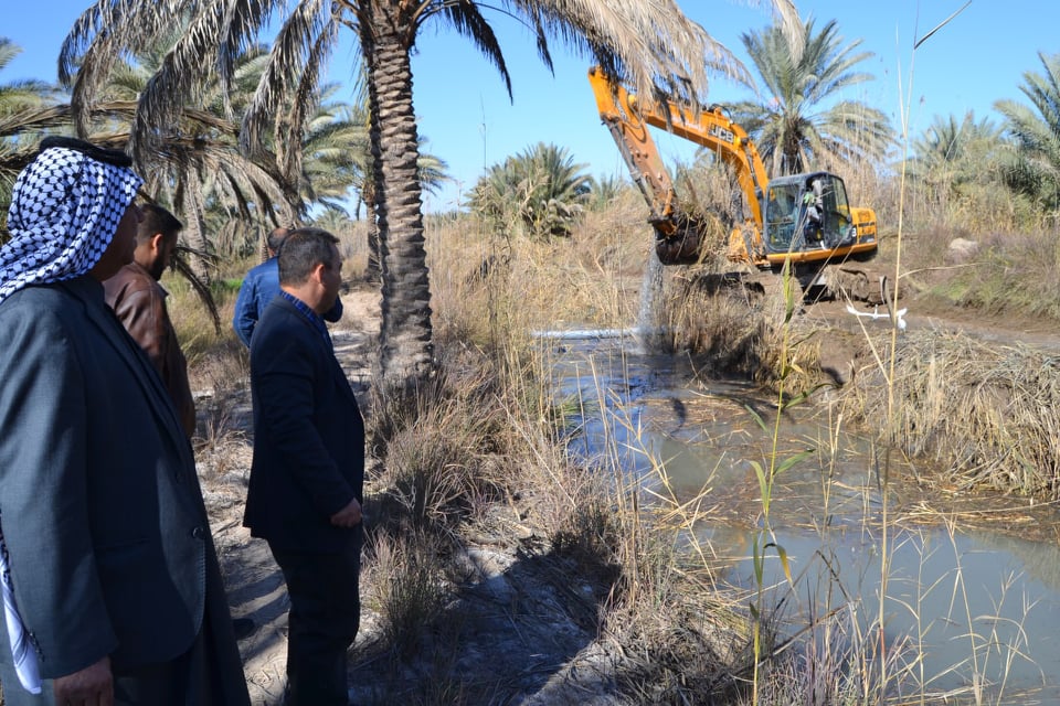 بسبب الخنازير البرية دعوات بشمول المبازل الفرعية والحقلية في كربلاء بالتطهير للعام 2021