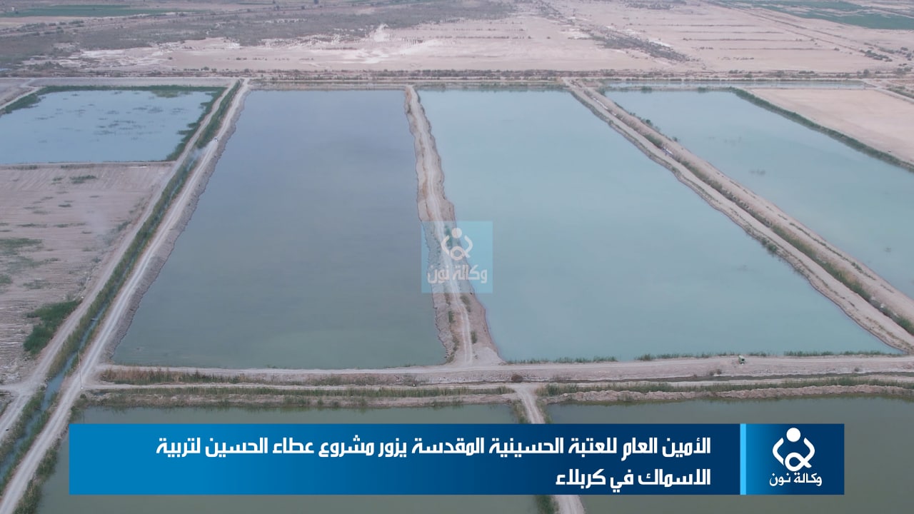 اراضي غير صالحة للزراعة في كربلاء تتحول الى مشروع استراتيجي لانتاج اللحوم والاسماك تغذي السوق العراقية