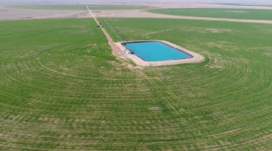 محافظ كربلاء يكشف بالارقام عن طفرات نوعية في المحاصيل الزراعية والثروة الحيوانية