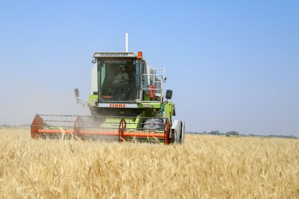 العراق :( 412.463) الف طن كميات الحنطة المسوقة