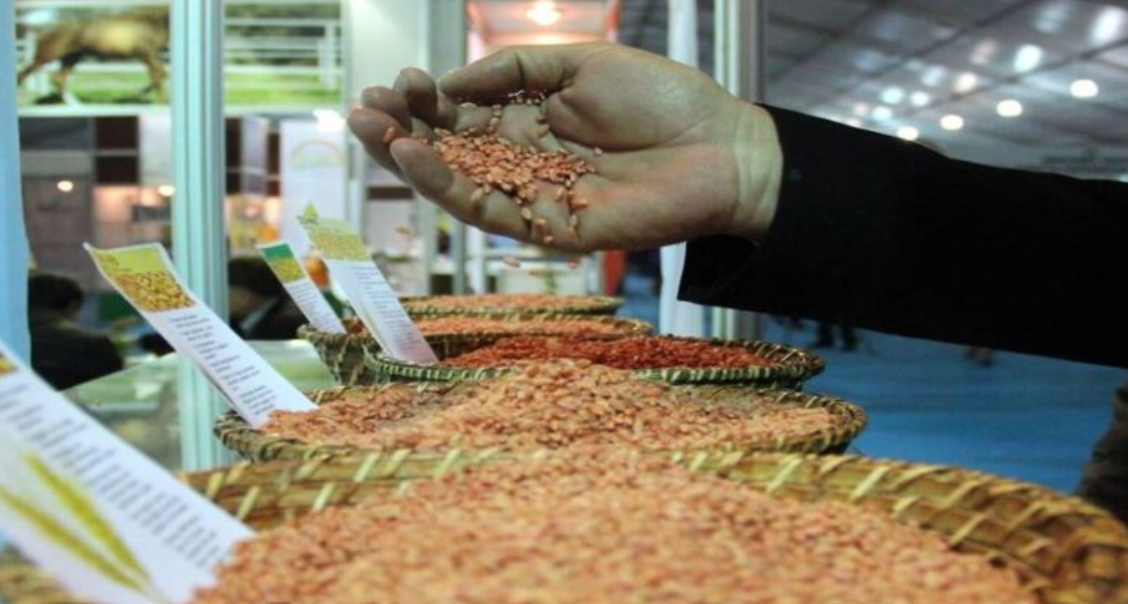 العراق الاول باستيراد الحبوب التركية في تموز