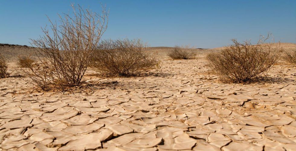 الصين تقدم عرضاً للعراق: جاهزون لمكافحة التصحر في بلدكم