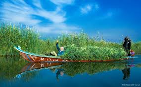 مسؤول محلي: الأمطار ترفع مياه أهوار الجبايش