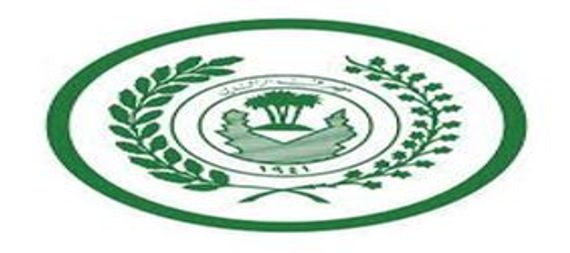 الرافدين يحدد الحد الأعلى لبيع الدولار للمسافرين في مطار بغداد الدولي