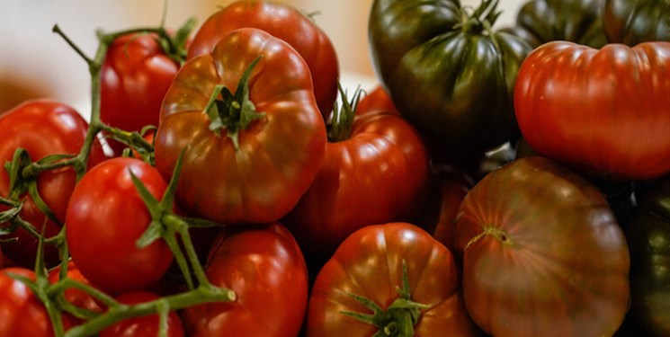 بريطانيا تعاني من أزمة خضار... رفوف المتاجر خالية من الطماطم