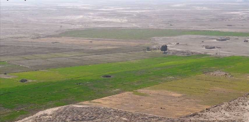 الزراعة تعلن إحالة مليوني دونم للاستثمار في السماوة