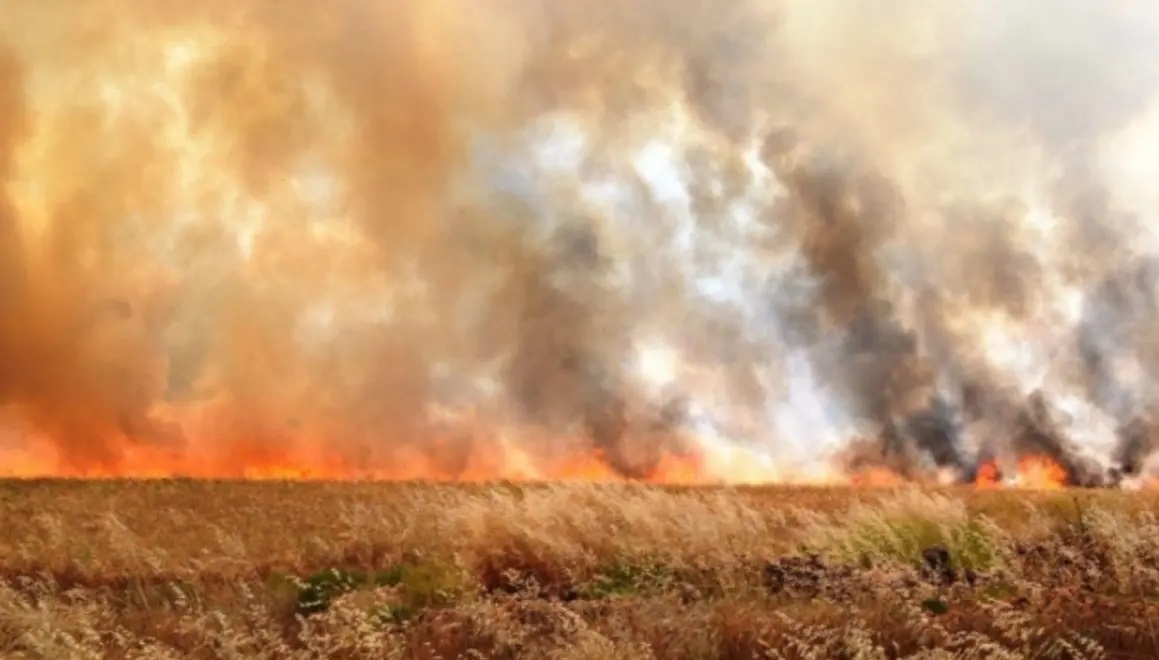 فرق الدفاع المدني تخمد حريقاً لحقول الحنطة بالنجف