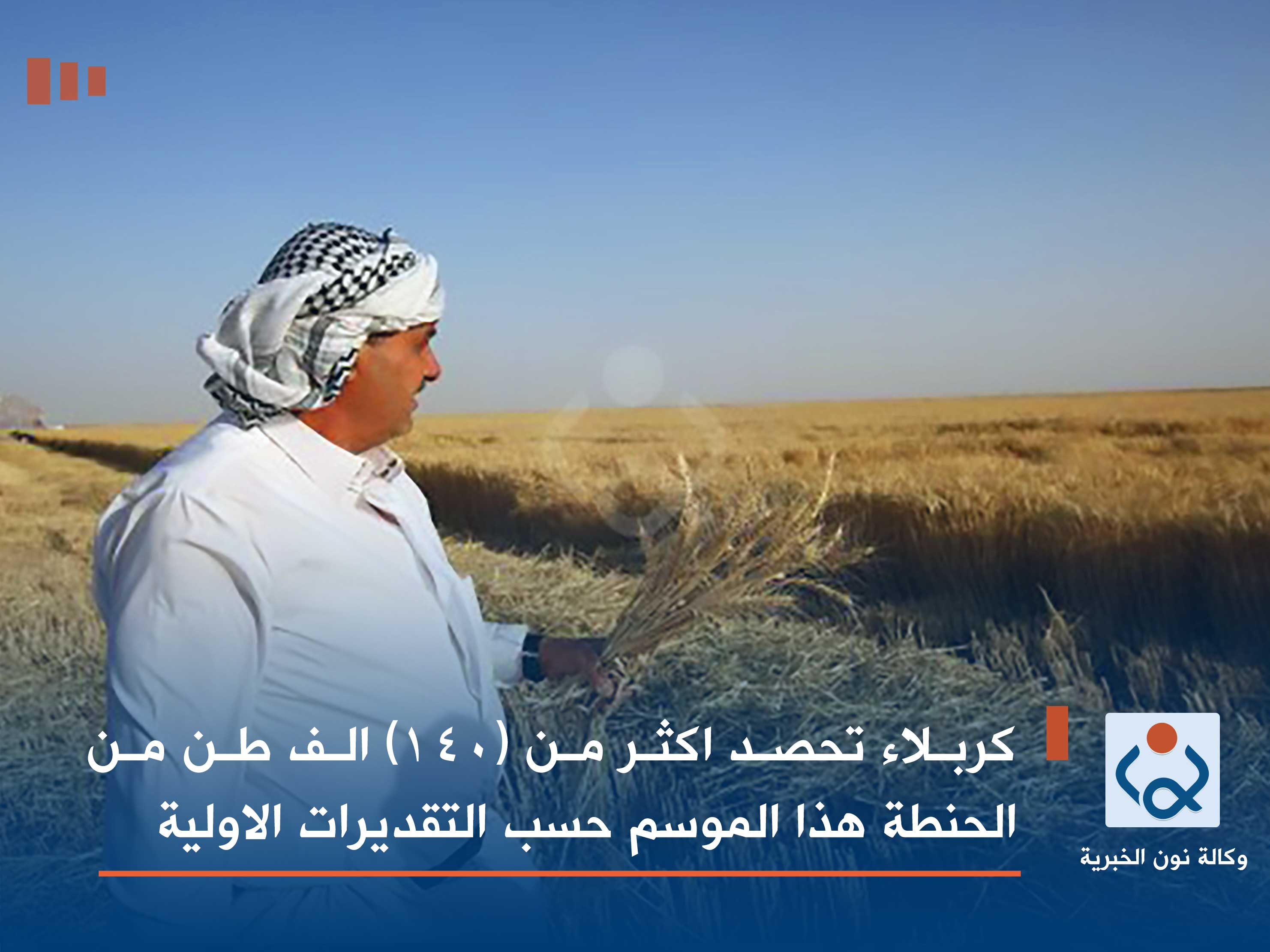 كربلاء تحصد اكثر من (١٤٠) الف طن من الحنطة هذا الموسم حسب التقديرات الاولية