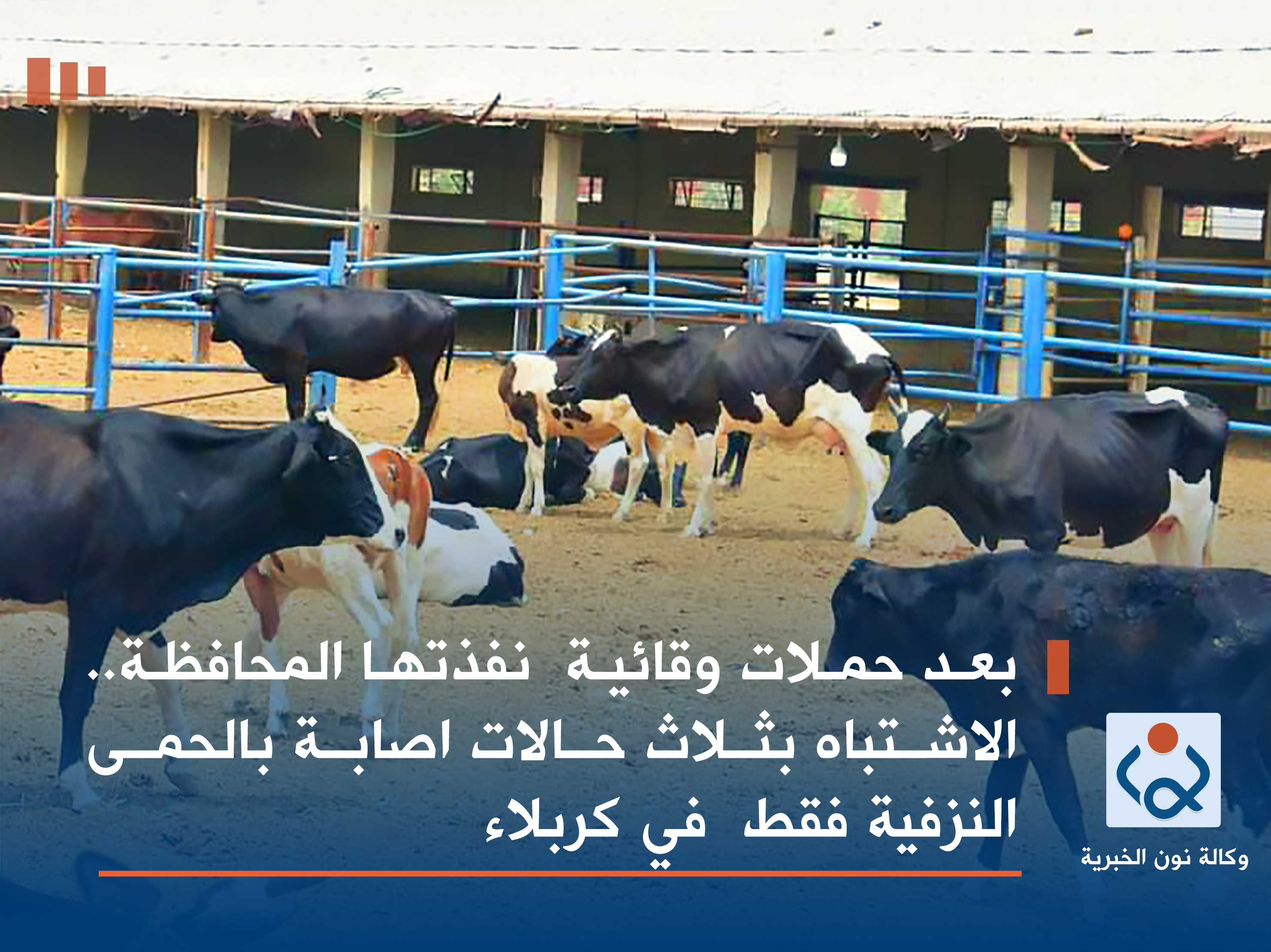 مطالبة بفتح مجزرة في كل قضاء بالمحافظة :الاشتباه بثلاث حالات اصابة بالحمى النزفية في كربلاء