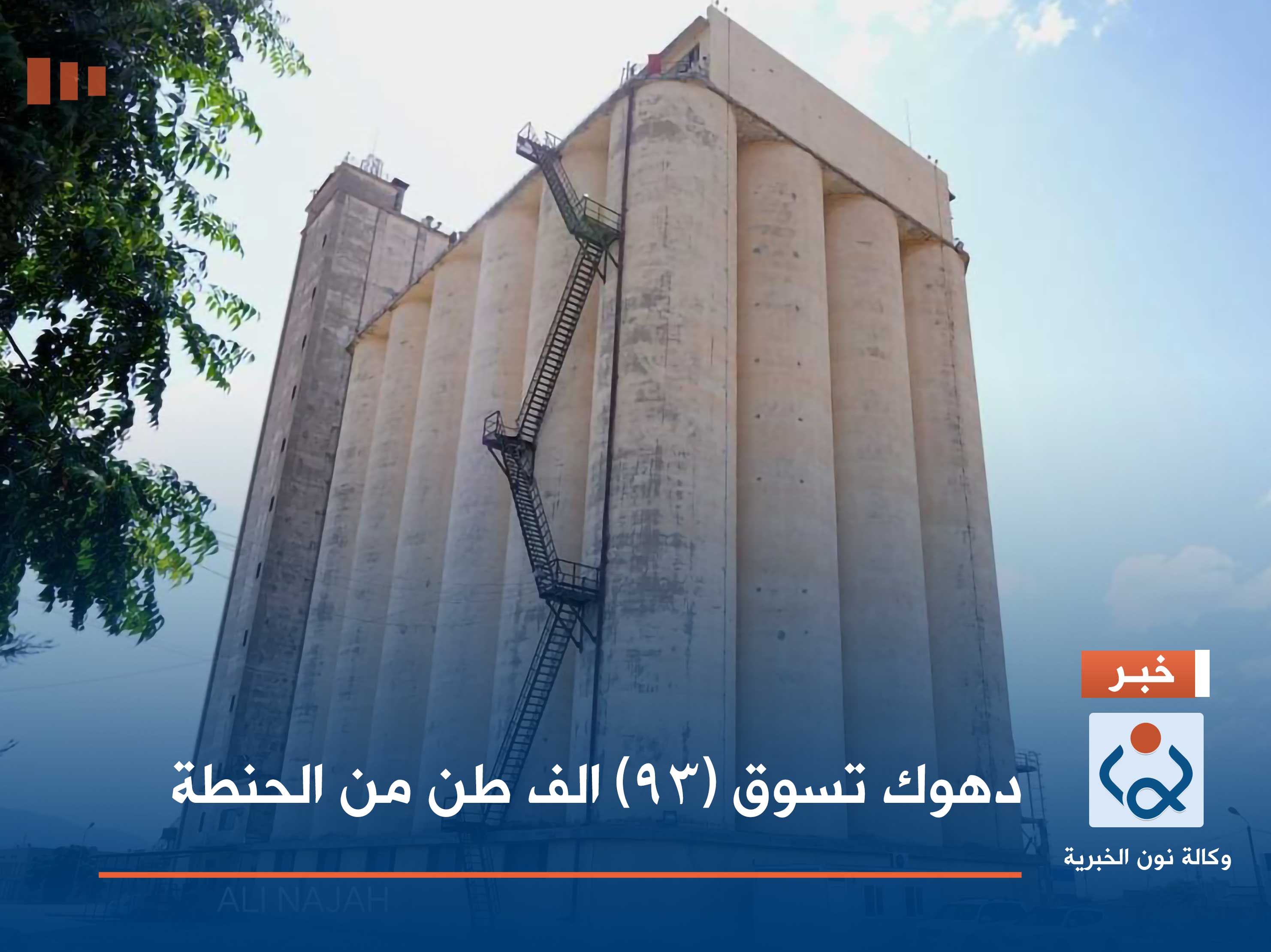 دهوك تسوق (93) الف طن من الحنطة