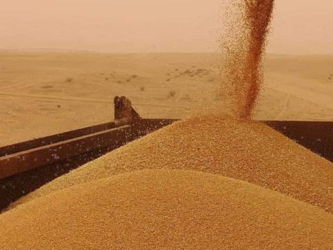 وزير التجارة: حققنا خزينا ستراتيجيا للحنطة هو الاكبر بتاريخ العراق