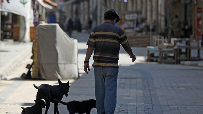 أكثر من 300 إصابة بعضّات الكلاب السائبة شهرياً في الموصل