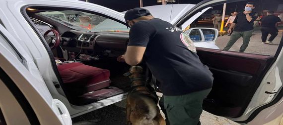 الحشد يعتقل أحد المطلوبين في النجف الأشرف