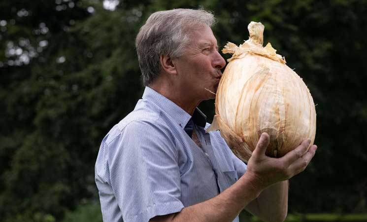 شاهد بالصور.. ثمرة بصل عملاقة تزن 9 كيلوغرامات