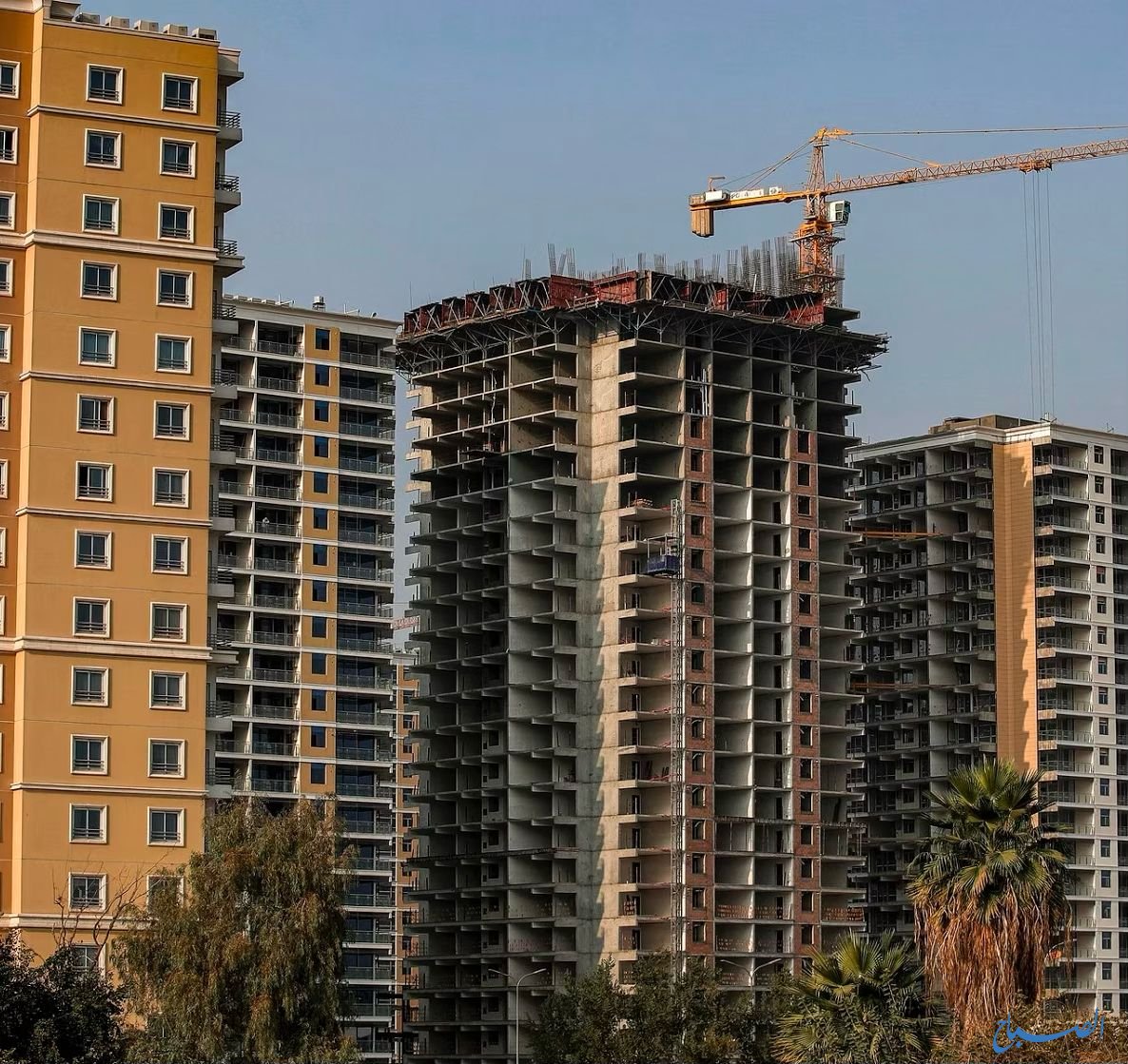 بغداد فقدت اخضرارها وتحوّلت لـ {صندوق من البناء}