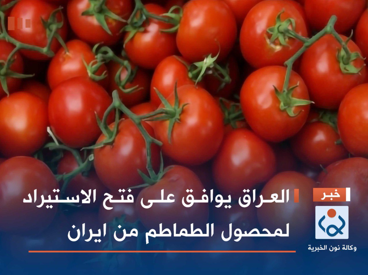 العراق يوافق على فتح الاستيراد لمحصول الطماطم من ايران